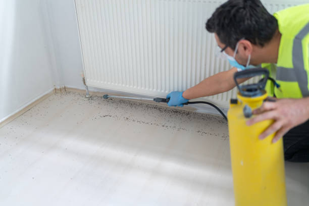 Best Best Pest Control Companies  in Cottonwood, ID